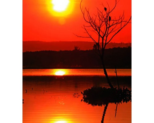 Desk Calendar DC 8